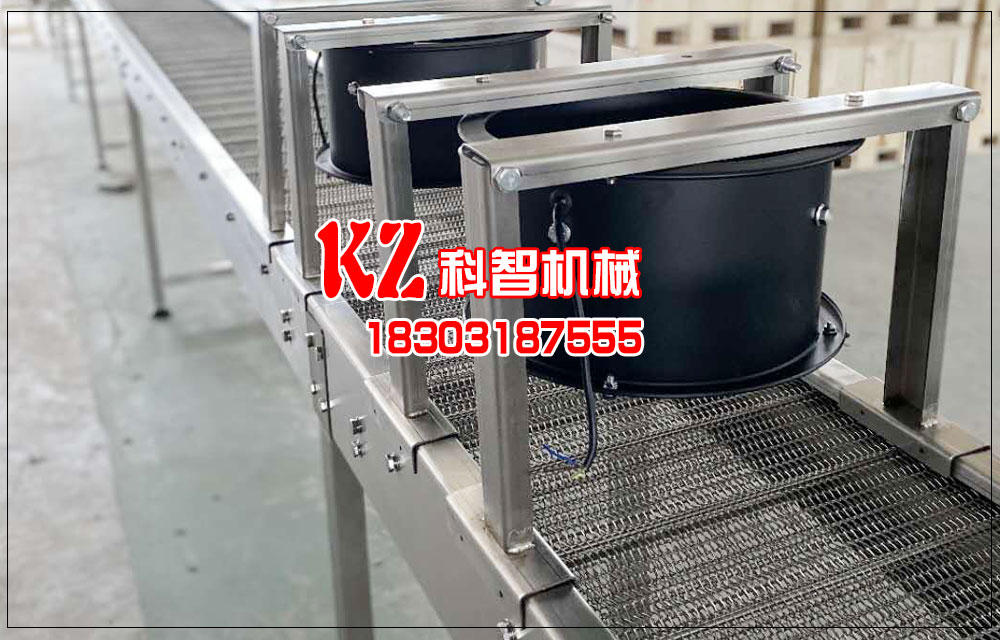 氣泡型枇杷清洗提升不銹鋼網帶輸送機